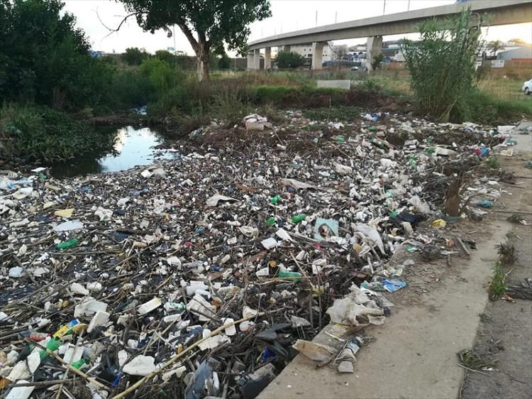 Meet the South African leading the Hennops River clean-up