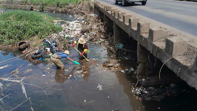 Apies River clean-up.