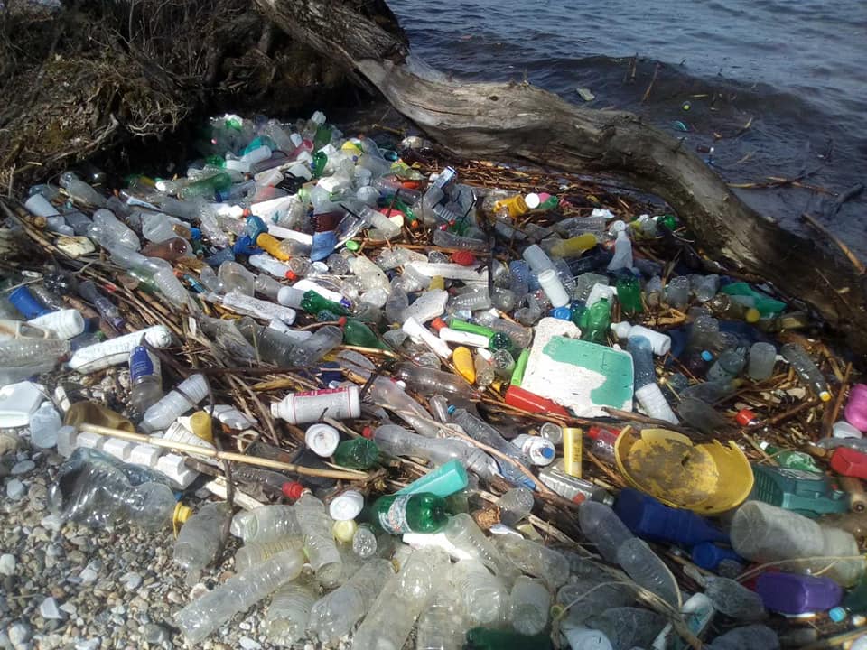 Lake Ohrid litter