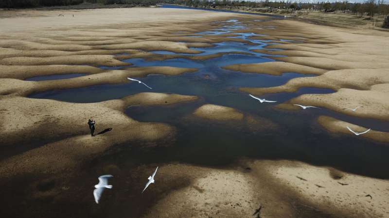 Birds fly over a man taking photos of the exposed riverbed of the Old Parana River,