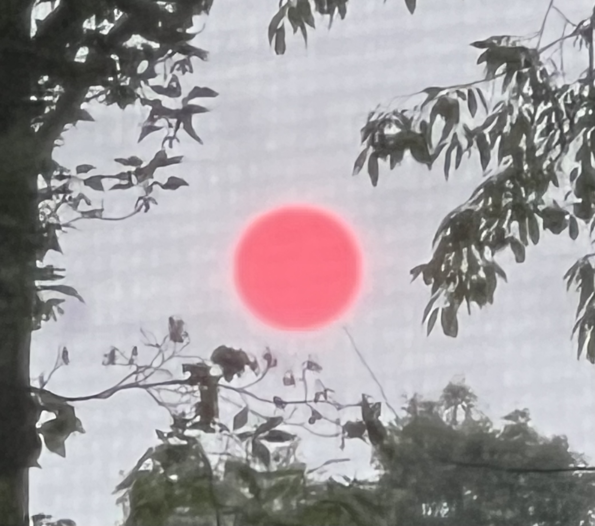 The smoke from wildfires has also led to the sun appearing red in some places, here as seen near Owego, New York.