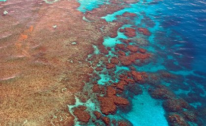 Pesticides pollutes river, oceans and other waterbodies