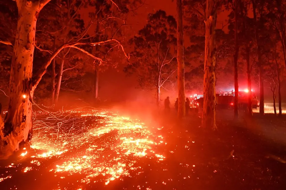 Burning embers cover the ground as firefighters battle against bushfires around Nowra, 2020.