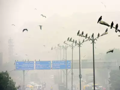 Dhaka chokes on air pollution.