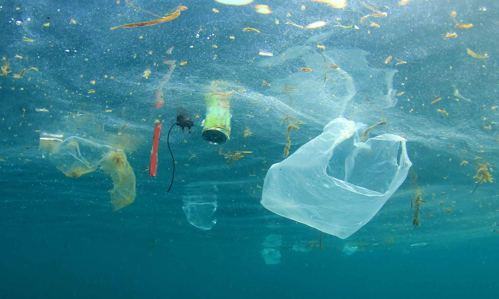 Plastic pollution in the ocean