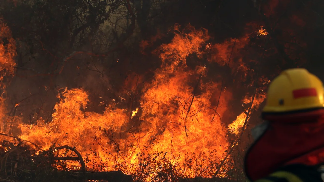 Forest Fires in Bolivia