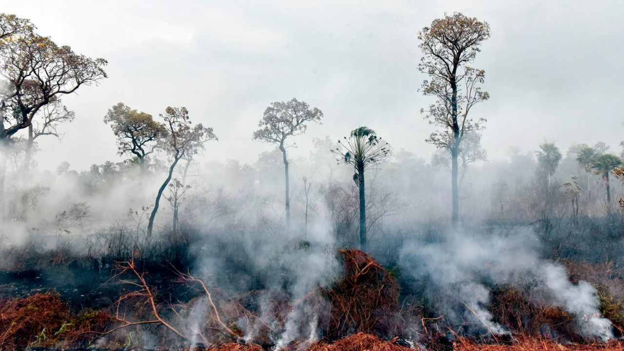 Smokes rises from forest fires in Otuquis National Park.