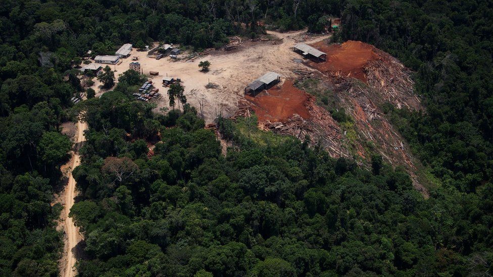 Illegal deforestation in the Amazon, Brazil
