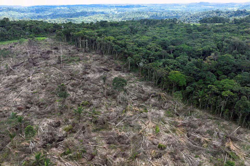 An aerial view shows a deforested area during an operation to combat deforestation near Uruara, Para State, Brazil January 21, 2023.