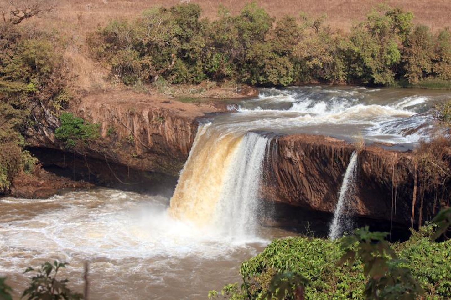 Pollution of Cameroon's water resources