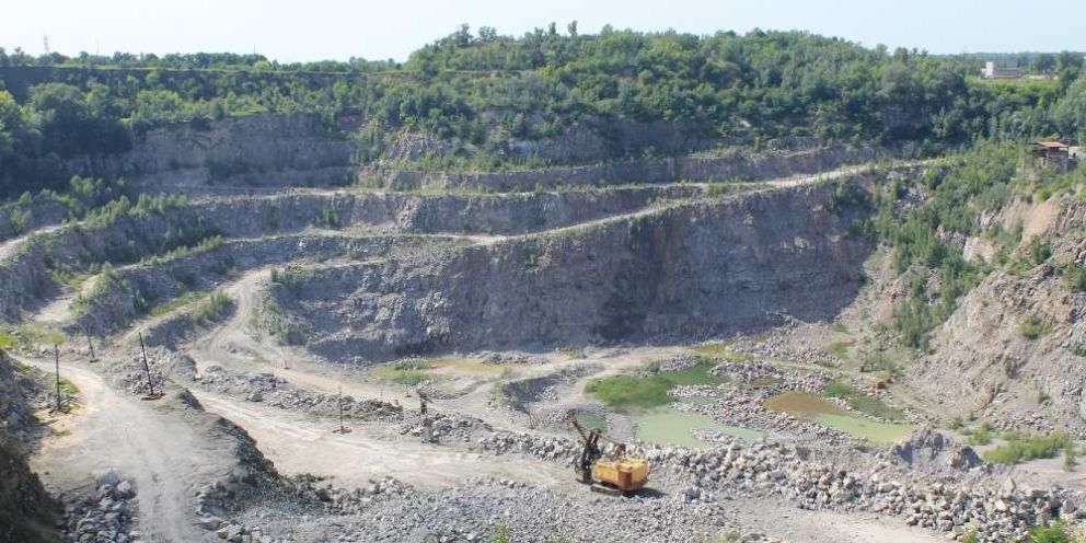 Impact of forest logging in British Columbia