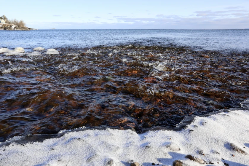 Pollution in Lake Superior