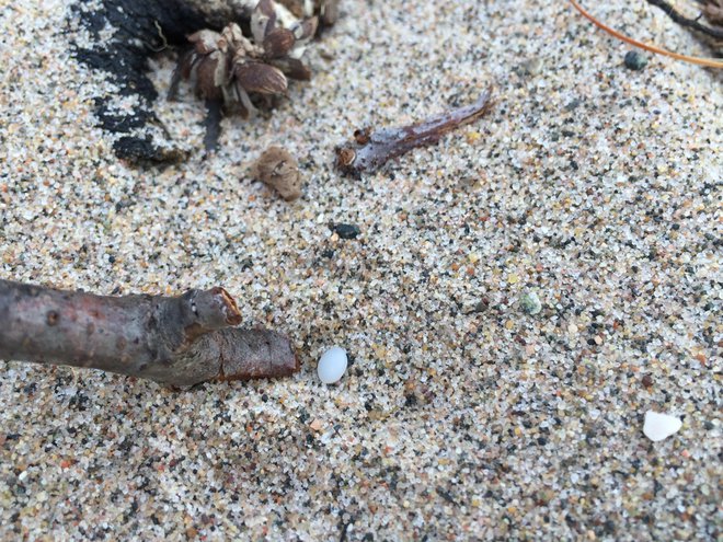 Pollution of Lake Superior with microplastics