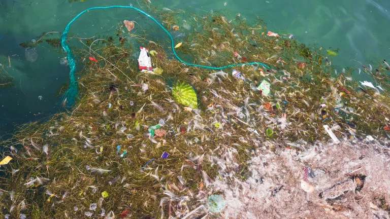 The world’s largest freshwater ecosystem is awash in plastic.