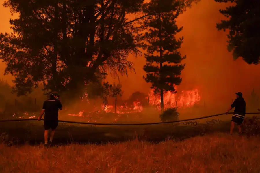 Forest fires in Chile