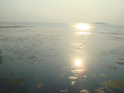 Lake Tai pollution