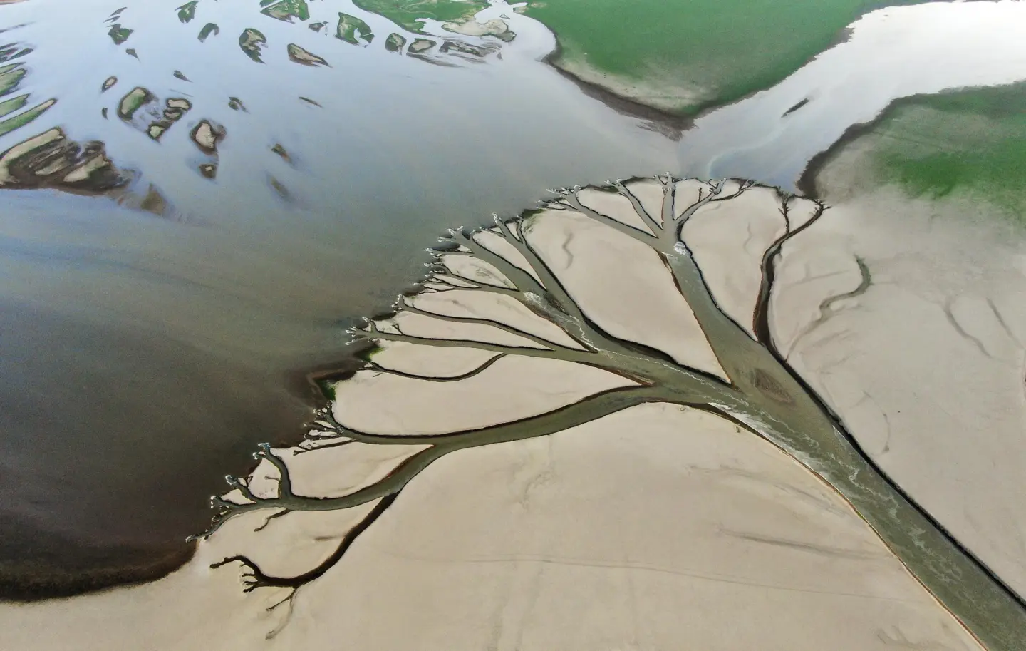 Drying up of Poyang Lake, China