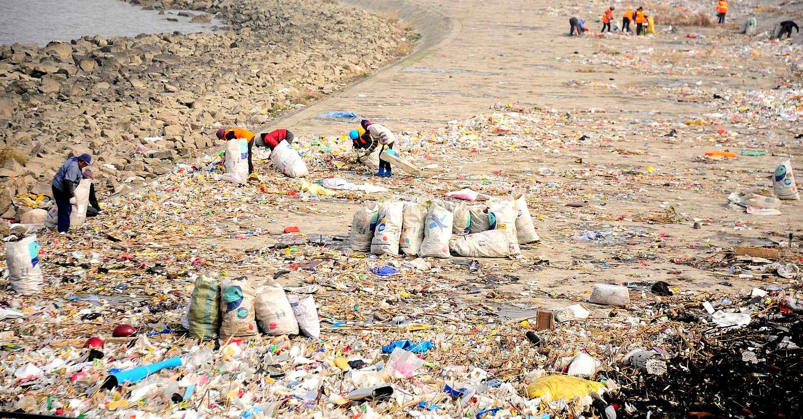 Plastic collection on the Amur river