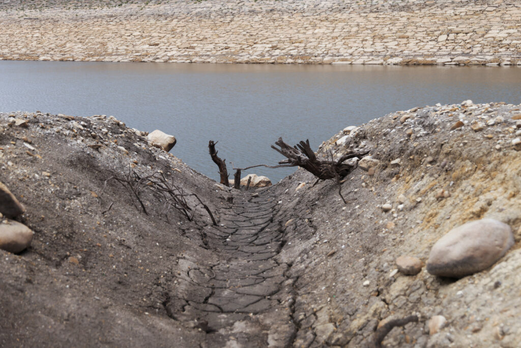 Dry branchs of trees are seen on parched ground at San Rafael reservoir in La Calera, Colombia April 8, 2024.