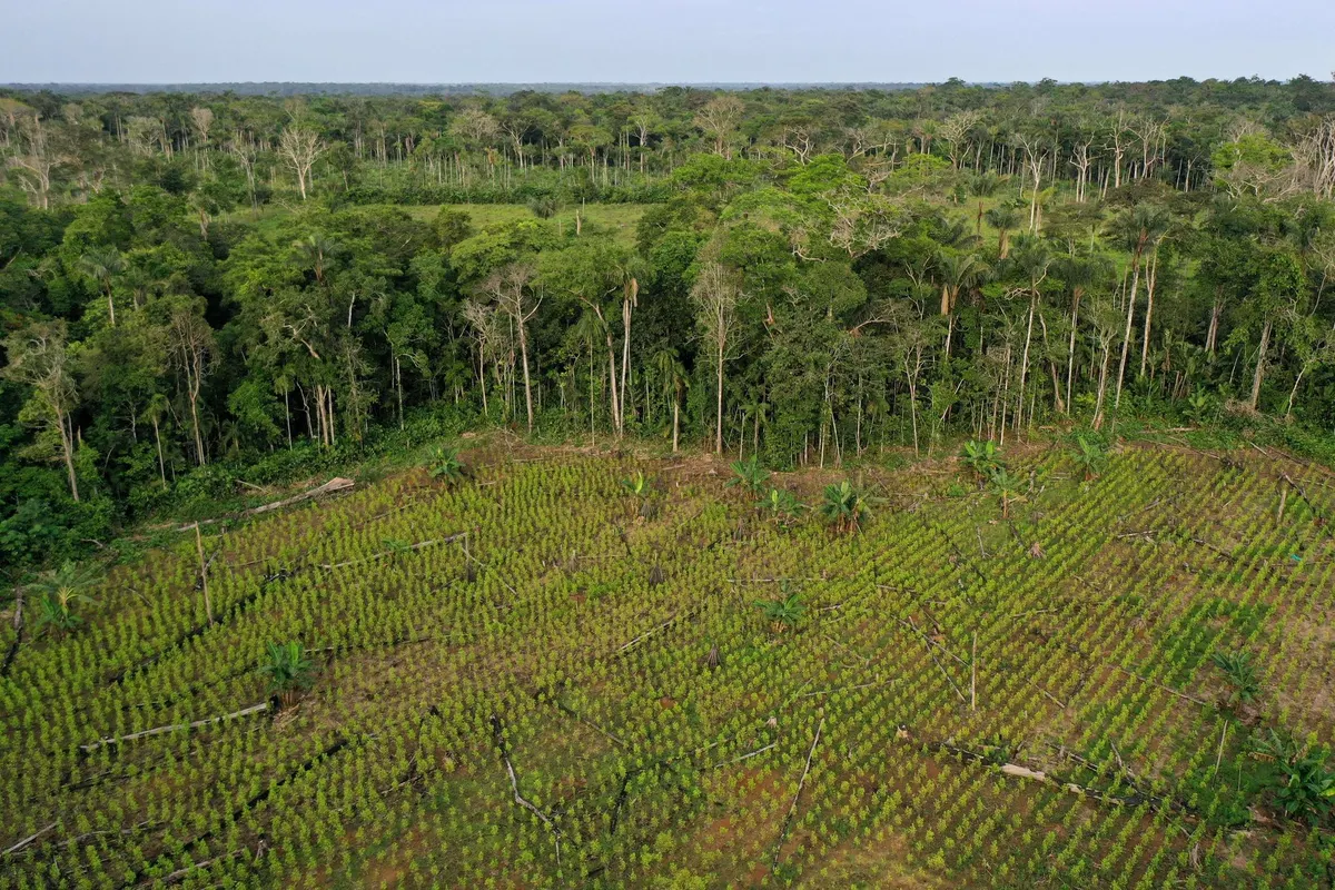 Deforestation in Colombia