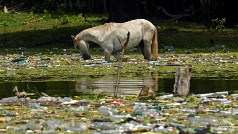 Plastic garbage covers Central American rivers, lakes and beaches