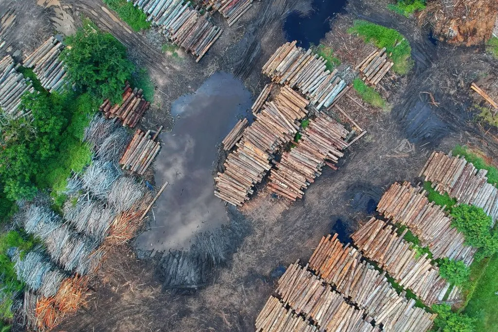 Deforestation in Australia