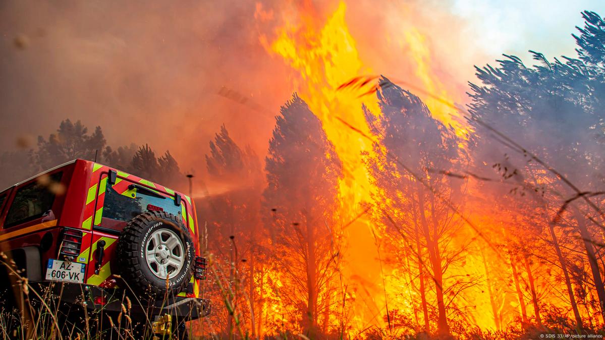 Flames racing through pine forests