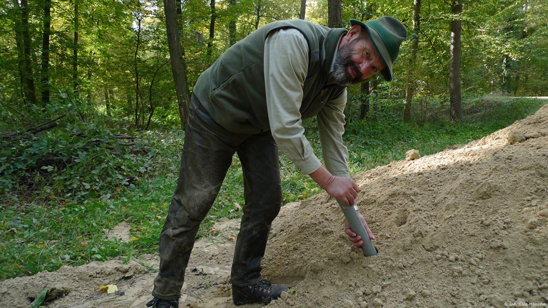 Günter Zapf, forestry manager in Kronau
