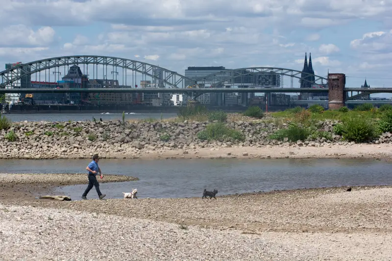 River Rhine Is drying up amid heatwave
