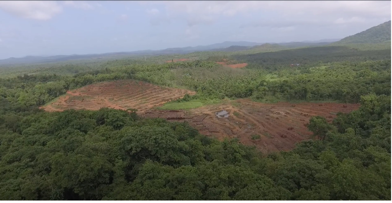 Destruction of green cover in Goa, India