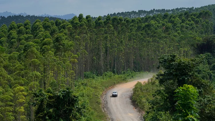A car cruises on a dirt road at the construction site of the new capital city in Penajam Paser Utara, East Kalimantan, Indonesia, Wednesday, 8 March 8 2023.