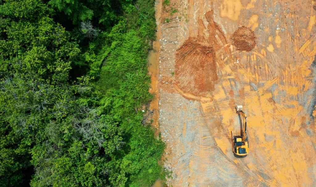 Deforestation In Asia Indonesia, Malaysia, Vietnam, and Thailand