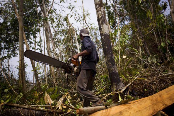 Deforestation in Asia