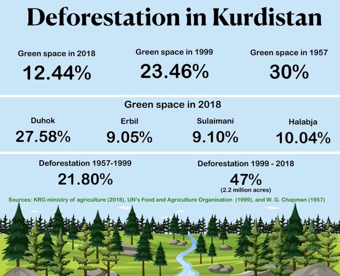 Kurdistan loses 50 percent of its forests in last two decades
