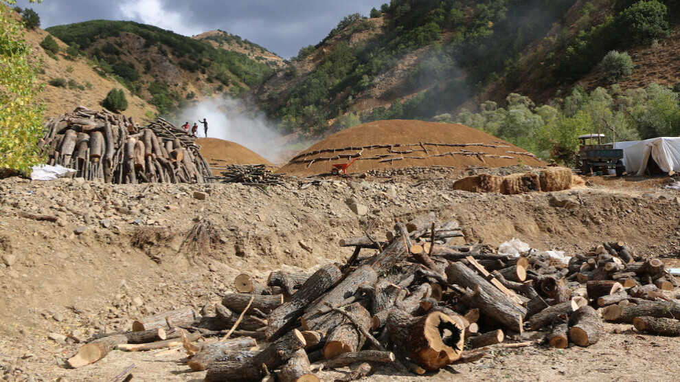 Deforestation in Kurdistan due to the war.