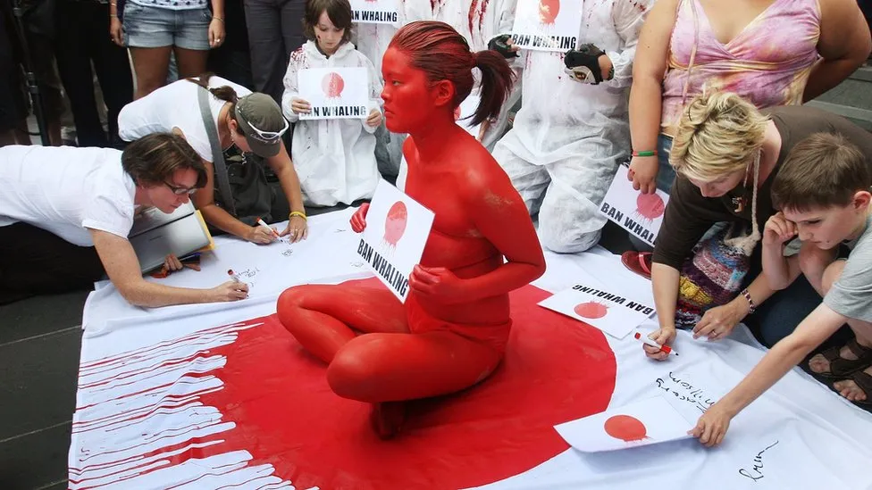 There is a long history to anti-whaling protests.