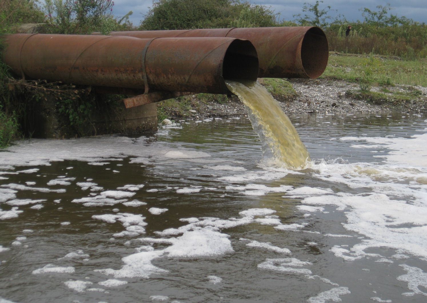 Fecal pollution of the Dniester River in Soroca, Moldova