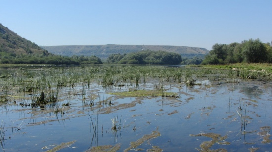 The Dniester is a river that has become a sewer