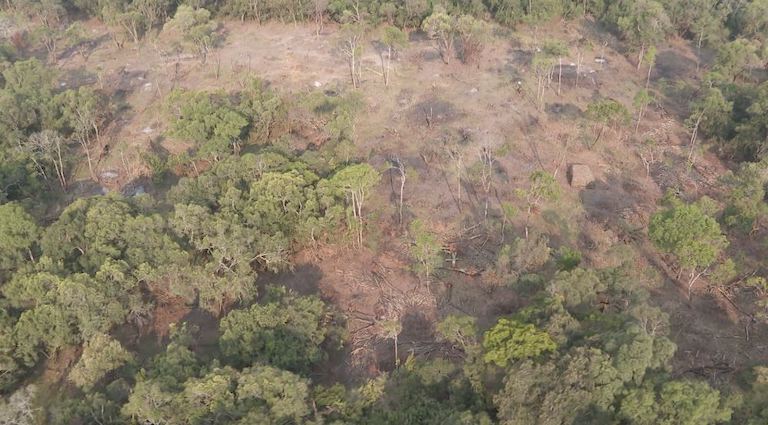 A clearing in Olpusimoru Forest Reserve