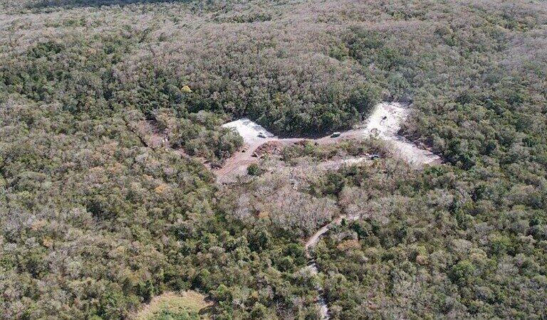 The construction of a hotel in Mexico’s Calakmul Biosphere Reserve took many residents by surprise when bulldozers started clearing the forest.