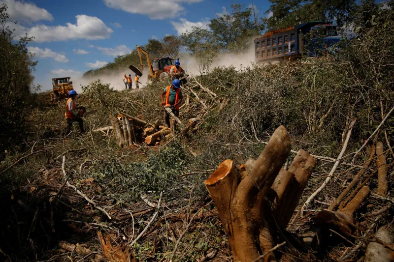 Workers clear trees for the construction of section 4 of the new Mayan Train route, near Nuevo Xcan, Mexico on March 3, 2022.