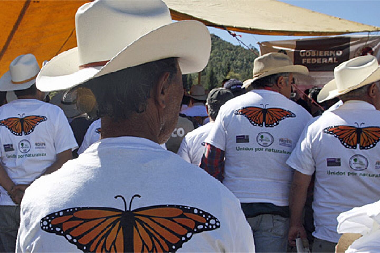 Villagers in charge of protecting butterflies gather for a meeting at the Monarch Butterfly Biosphere Reserve, near Chincua, Mexico.