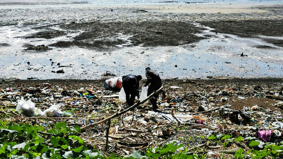 Tons of trash from the Juan Diaz River eventually makes its way to Panama Bay, impacting marine life and shorebirds.