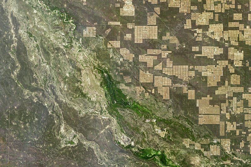 Deforestation In Paraguay is a photograph