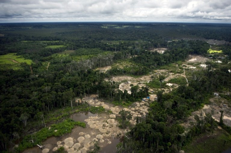 Deforestation in the Peruvian Amazon