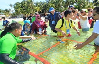 Restoration activities