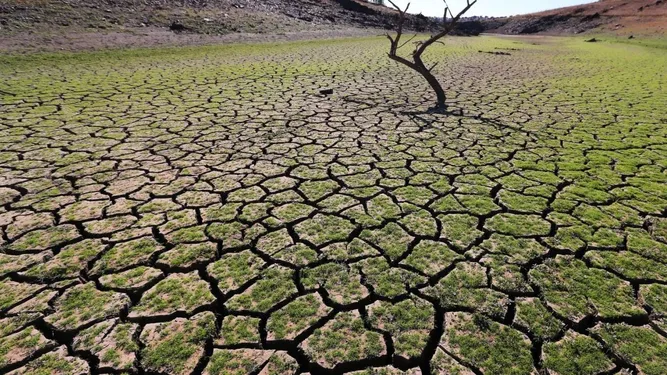 Dried parts of Tagus River