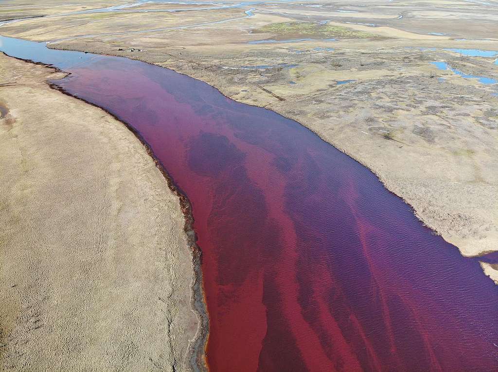 The Ambarnaya River runs red with a layer of petrochemicals