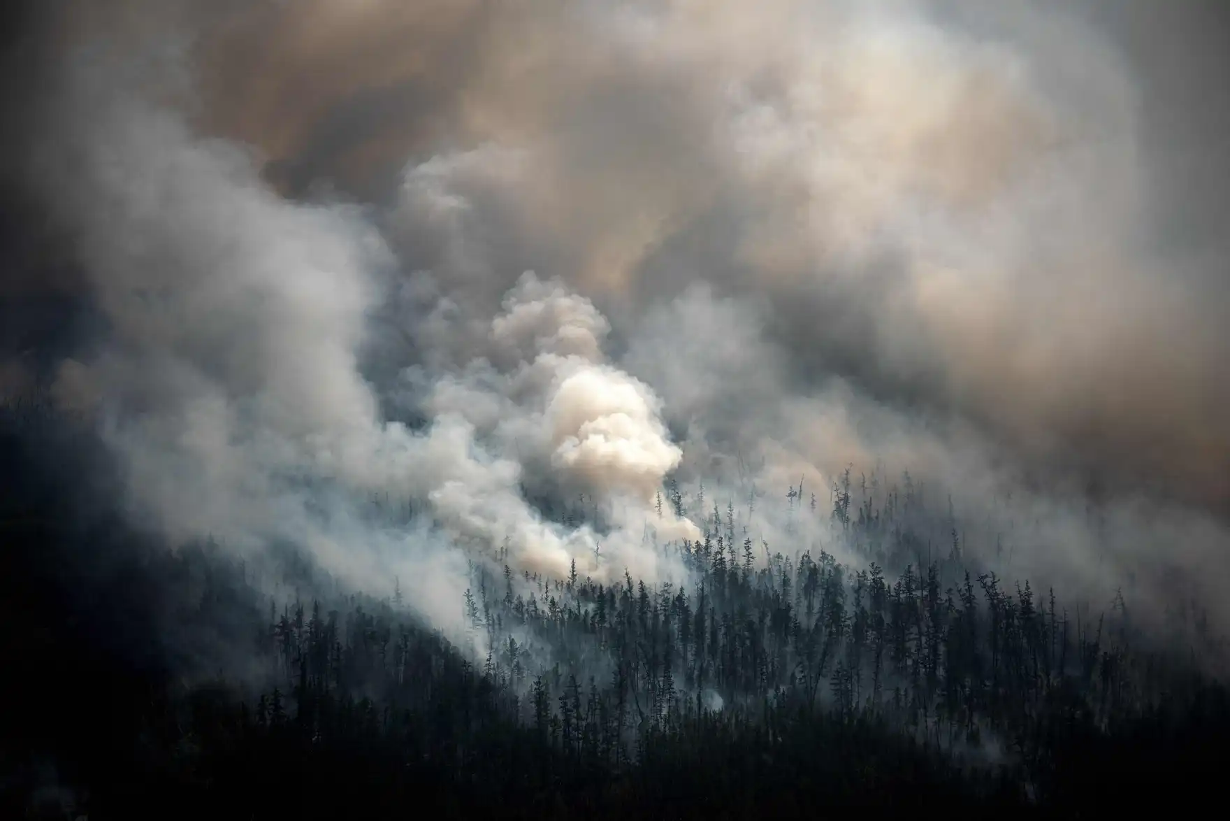 Smoke rises from a forest outside the village of Berdigestyakh