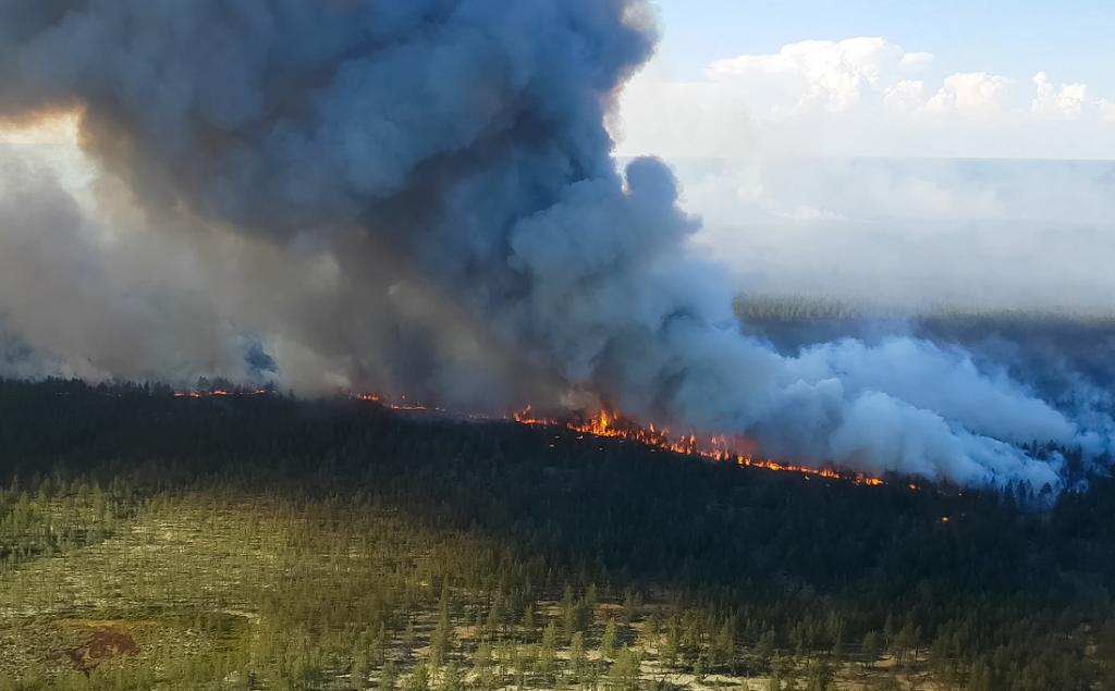 Burning taiga in Russia.